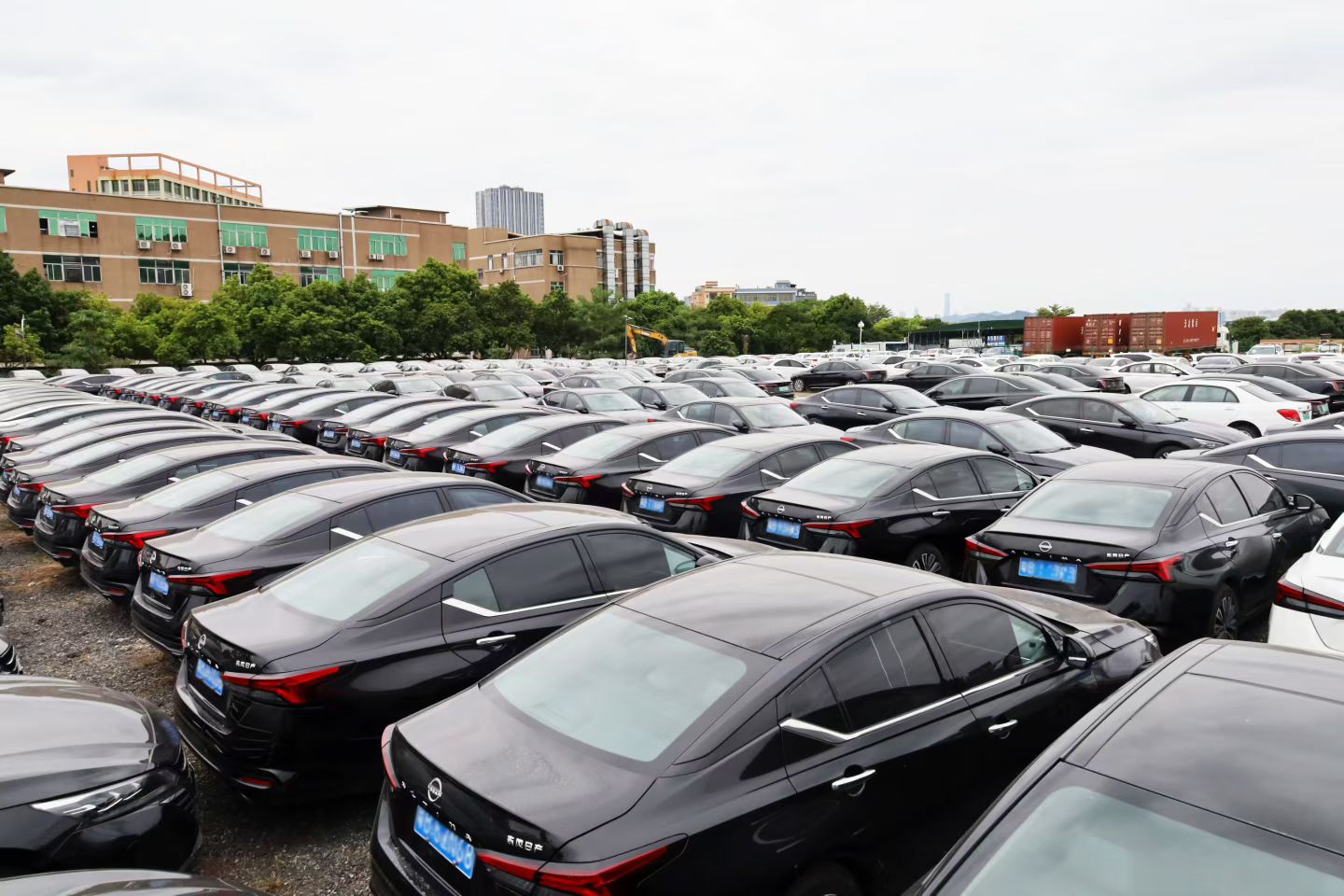 Vehicles stored at the ISUMCAR company yard